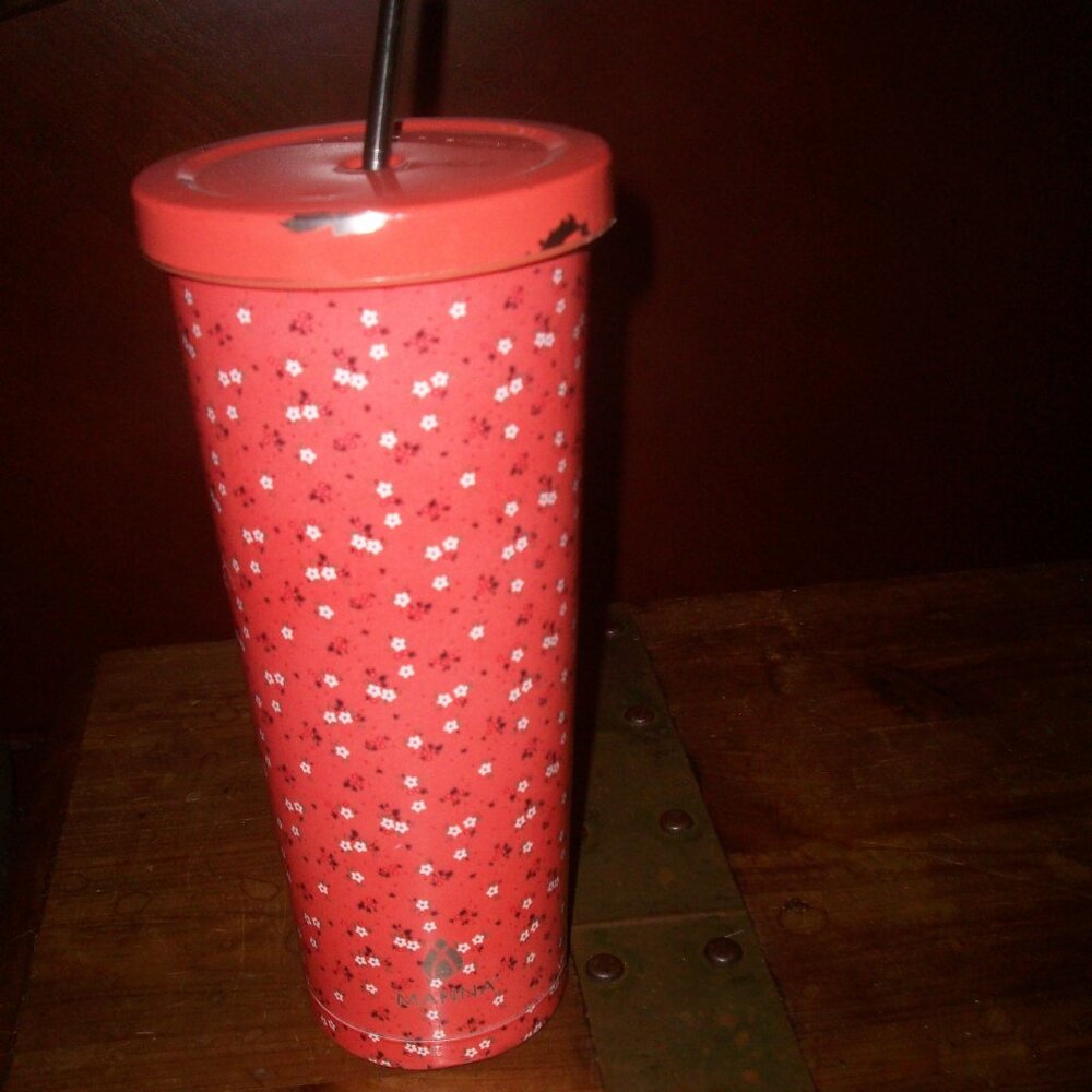 MANNA Hydration Insulated Chilly Tumbler Straw Cup w/ STRAW & Lid SPRING 24oz